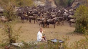 Dirk Steffens sitzt auf einem Jeep vor einer Gnuherde in der Masai Mara in Kenia. Die Gnuherde scheut sich noch, den gefährlichen Mara-Fluss zu überqueren. Dirk Steffens sitzt auf einem Jeep vor einer Gnuherde in der Masai Mara in Kenia. Die Gnuherde scheut sich noch, den gefährlichen Mara-Fluss zu überqueren.