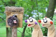 Ein Vogel zeigt Jan und Henry einen Trick, wie es im Winter schön warm am Kopf bleibt. Ein Vogel zeigt Jan und Henry einen Trick, wie es im Winter schön warm am Kopf bleibt.