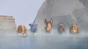 v.li.: Rubble, Rocky, Chase, Zuma, Skye