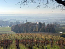 Luftaufnahme: Blick vom Weingut Herrschaftsgut Kogel (1820) in die Umgebung: slowenische Steiermark: Stajerska.