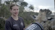 Studentin Elizabeth Nowell aus Kanada gehört zu den Volunteers im „Free to be wild Sanctuary“ in Simbabwe. Sie engagiert sich, um den wilden Tieren nahe kommen zu können, und sie nicht, wie eine Touristin, nur aus der Ferne zu beobachten. Studentin Elizabeth Nowell aus Kanada gehört zu den Volunteers im „Free to be wild Sanctuary“ in Simbabwe. Sie engagiert sich, um den wilden Tieren nahe kommen zu können, und sie nicht, wie eine Touristin, nur aus der Ferne zu beobachten.