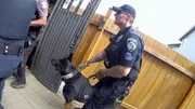 Ein Polizeihund und ein Polizist Ein Polizeihund und ein Polizist
