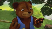 Begeistert bestaunt B&auml;r die Natur.