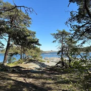 Insel Alö im südlichen Stockholmer Schärengarten Insel Alö im südlichen Stockholmer Schärengarten