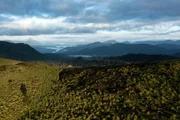 Die Berglandschaft der Western Ghats ist Lebensraum f&uuml;r ein Drittel der indischen Tierwelt.