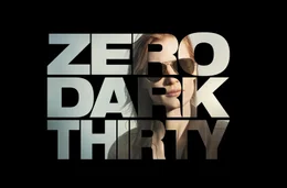 ZERO DARK THIRTY - Artwork