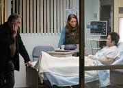 Robin (Michele Nolden, M.) und Alan (Judd Hirsch, l.) machen sich Sorgen um Don (Rob Morrow, r.). Robin (Michele Nolden, M.) und Alan (Judd Hirsch, l.) machen sich Sorgen um Don (Rob Morrow, r.).