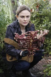 Der Fund menschlicher Überreste führt Brennan (Emily Deschanel) in ihre Heimatstadt Burtonsville. Nach der Identifizierung des Opfers gibt es Hinweise darauf, dass dieser Fall mit einem anderen Mord, der bereits 15 Jahre zurückliegt, in Verbindung steht. Der Fund menschlicher Überreste führt Brennan (Emily Deschanel) in ihre Heimatstadt Burtonsville. Nach der Identifizierung des Opfers gibt es Hinweise darauf, dass dieser Fall mit einem anderen Mord, der bereits 15 Jahre zurückliegt, in Verbindung steht.