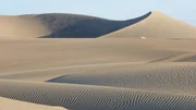 Desert landscape. Desert landscape.