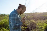 Jaime Chaves erforscht die Evolution von Finken auf den Galápagos-Inseln. Jaime Chaves erforscht die Evolution von Finken auf den Galápagos-Inseln.