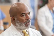 David Alan Grier as Dr. Ron David Alan Grier as Dr. Ron