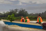 Bäume auf dem Boot: unterwegs zum Wiederanpflanzen von Regenwald Bäume auf dem Boot: unterwegs zum Wiederanpflanzen von Regenwald