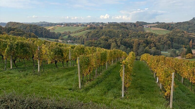 Das slowenische Weinland – Jeruzalem, der Šipon und das Erbe der Habsburger (A, 2026)