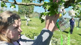 Naturpark Rosalia Kogelberg bietet lehrreiche Exkursionen f&uuml;r Kinder und Interessierte.