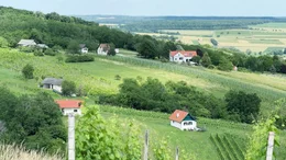 Naturpark Weinidylle mit den typischen Presshausern und traditionellen Kellerst&ouml;ckln.