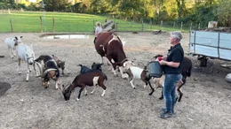 Minihof Liebau Tierpark mit Tieretter Rudi Pilz im Naturwinkel Saufu&szlig;.