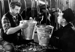 Manchmal m&uuml;ssen Don Camillo (Fernandel, rechts) und der grantige Peppone (Gino Cervi) eben doch zusammenarbeiten: zum Beispiel im Kuhstall.
