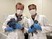 Wie aus einer kleinen Reservepopulation ein internationales Artenschutzprojekt wurde Wie aus einer kleinen Reservepopulation ein internationales Artenschutzprojekt wurde