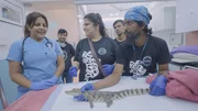 Die Tierretter von Mumbai retten j&auml;hrlich bis zu 3000 Tiere aus der Stadt.