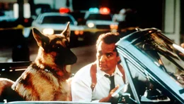 James Belushi (Mike Dooley).