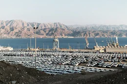 Giraffen werden auf dem Seeweg von Afrika nach China transportiert: Nach 21 Tagen erreichen sie das Rote Meer.