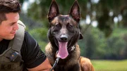 K9-Einheit &ndash; Polizeibeamter und Polizeihund