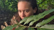 Die Forscherin Kirahu Howard will die endemischen Partula-Baumschnecken vom Aussterben bewahren. Die Forscherin Kirahu Howard will die endemischen Partula-Baumschnecken vom Aussterben bewahren.