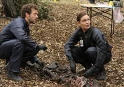 Hodgins (T.J. Thyne) und Brennan (Emily Deschanel) untersuchen eine stark verweste Leiche, die in einem Wald in West-Virginia gefunden wurde. Hodgins (T.J. Thyne) und Brennan (Emily Deschanel) untersuchen eine stark verweste Leiche, die in einem Wald in West-Virginia gefunden wurde.