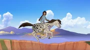 Freies Pferd auf ihrem Appaloosa Freies Pferd auf ihrem Appaloosa
