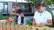 Freunde 2