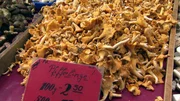Waldpilze auf dem Markt stammen meist aus Osteuropa &ndash; in Deutschland stehen viele Arten unter Schutz.