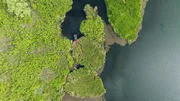 Schilfinseln von oben. Sie haben die &bdquo;Aufgabe, das Donauwasser zu filtern und zu reinigen, bevor es sich ins Meer ergie&szlig;t.