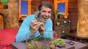 Zum Weltkindertag zeigt Juri eine Idee des Kinderredaktionsrats: Aus Moos, Blättern und Zapfen entsteht ein kleines Herbst-Glas. Zum Weltkindertag zeigt Juri eine Idee des Kinderredaktionsrats: Aus Moos, Blättern und Zapfen entsteht ein kleines Herbst-Glas.
