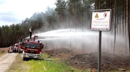 Waldbrand L&uuml;btheen 2019