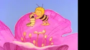 Maja findet eine kleine Raupe und nimmt sie mit nach Hause. Maja findet eine kleine Raupe und nimmt sie mit nach Hause.