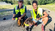 Wildtier-Manager Henning zeigt Pia, wie er seinen Jagdhund Hördes darauf trainiert, Krähen zu verjagen. (Henning Schwartinsky) Wildtier-Manager Henning zeigt Pia, wie er seinen Jagdhund Hördes darauf trainiert, Krähen zu verjagen. (Henning Schwartinsky)