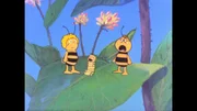 Maja und Willi hegen und pflegen die kleine Raupe. Maja und Willi hegen und pflegen die kleine Raupe.
