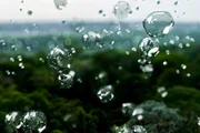 Jeden Tag steigt Wasserdampf aus den Regenwäldern in die Luft, um hoch oben Wolken zu formen. Die winzigen Tröpfchen transportieren auch Bakterien in die Atmosphäre, von denen Wissenschaftler bereits eine erstaunliche Vielfalt ausmachen konnten. Jeden Tag steigt Wasserdampf aus den Regenwäldern in die Luft, um hoch oben Wolken zu formen. Die winzigen Tröpfchen transportieren auch Bakterien in die Atmosphäre, von denen Wissenschaftler bereits eine erstaunliche Vielfalt ausmachen konnten.