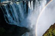 Alle Regenbögen haben eine kreisrunde Form – nur sieht man sie durch die Begrenzung der Erde meistens nicht. Alle Regenbögen haben eine kreisrunde Form – nur sieht man sie durch die Begrenzung der Erde meistens nicht.
