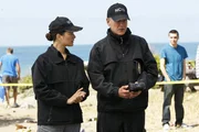 Ermitteln in einem neuen Mordfall: Gibbs (Mark Harmon, r.) und Ziva (Cote de Pablo, l.). Ermitteln in einem neuen Mordfall: Gibbs (Mark Harmon, r.) und Ziva (Cote de Pablo, l.).