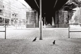 Sch&ouml;nhauser Allee - Berlin, 1988