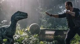 Owen Grady (Chris Pratt)
