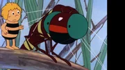 Maja ist ausgerissen. Sie lernt die Libelle Schnuck kennen und ist tief beeindruckt von deren Flugk&uuml;nsten.