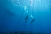 Der Meeresbiologe Tomasi Tikoibua Delana mit einem Freund: Sie arbeiten f&uuml;r die Pacific Blue Foundation, die sich f&uuml;r den Schutz der K&uuml;sten- und Meeres&ouml;kosysteme einsetzt.