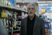 Joe Mantegna als David Rossi