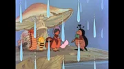 Unter einem Pilz such die Insekten Unterschlupf vor dem Regen.
