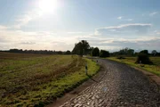 rbb Fernsehen EIN SOMMER IN BRANDENBURG, "Vom Stechlin bis zu den Seelower Höhen", Folge 2, Film von Johannes Unger. Ein Team des rbb bereist Brandenburg, immer im Uhrzeigersinn; einen Sommer lang. Das Tempo ist gemächlich. Als Fortbewegungsmittel dient deshalb ein alter, blauer Robur-Bus aus DDR-Produktion. Es kommt zu überraschenden Entdeckungen und Begegnungen mit Menschen und ihren Geschichten. - Wege übers Land: unterwegs in der Uckermark rbb Fernsehen EIN SOMMER IN BRANDENBURG, "Vom Stechlin bis zu den Seelower Höhen", Folge 2, Film von Johannes Unger. Ein Team des rbb bereist Brandenburg, immer im Uhrzeigersinn; einen Sommer lang. Das Tempo ist gemächlich. Als Fortbewegungsmittel dient deshalb ein alter, blauer Robur-Bus aus DDR-Produktion. Es kommt zu überraschenden Entdeckungen und Begegnungen mit Menschen und ihren Geschichten. - Wege übers Land: unterwegs in der Uckermark
