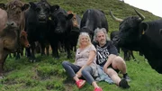 Tom Zuljevic-Salamon und seine Frau Judy sind erleichtert: Ihre Galloway-Mischlinge haben die lange Reise vom oberösterreichischen Mühlviertel auf die Alm ins Salzburger Land gut überstanden. 300 Kilometer ging es in Viehtransportern quer durch Österreich. Vor einem Jahr hatte Tom (59) die Ossmann-Hochalm gepachtet, jahrelang war sie brach gelegen. Ein arbeitsreicher Sommer mit großen Herausforderungen steht bevor. Tom Zuljevic-Salamon und seine Frau Judy sind erleichtert: Ihre Galloway-Mischlinge haben die lange Reise vom oberösterreichischen Mühlviertel auf die Alm ins Salzburger Land gut überstanden. 300 Kilometer ging es in Viehtransportern quer durch Österreich. Vor einem Jahr hatte Tom (59) die Ossmann-Hochalm gepachtet, jahrelang war sie brach gelegen. Ein arbeitsreicher Sommer mit großen Herausforderungen steht bevor.