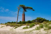„Windflüchter“ – so nennt man Bäume mit einem einseitig verstärkten, der Wetterseite abgeneigten Wuchs. „Windflüchter“ – so nennt man Bäume mit einem einseitig verstärkten, der Wetterseite abgeneigten Wuchs.