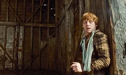 Rupert Grint (Ron Weasley).